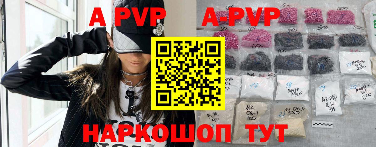 A PVP СК Кузнецк