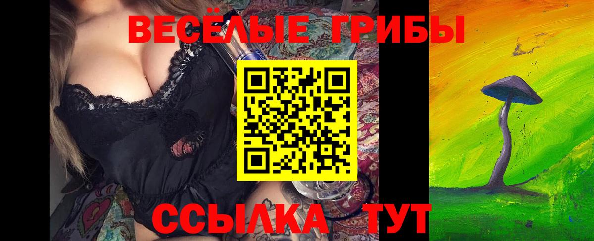 Галлюциногенные грибы Psilocybe Кузнецк