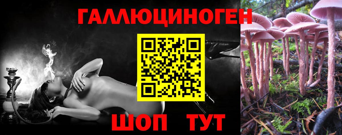 Псилоцибиновые грибы мухоморы  Вход с VPN  Кузнецк  Псилоцибиновые грибы Psilocybe 