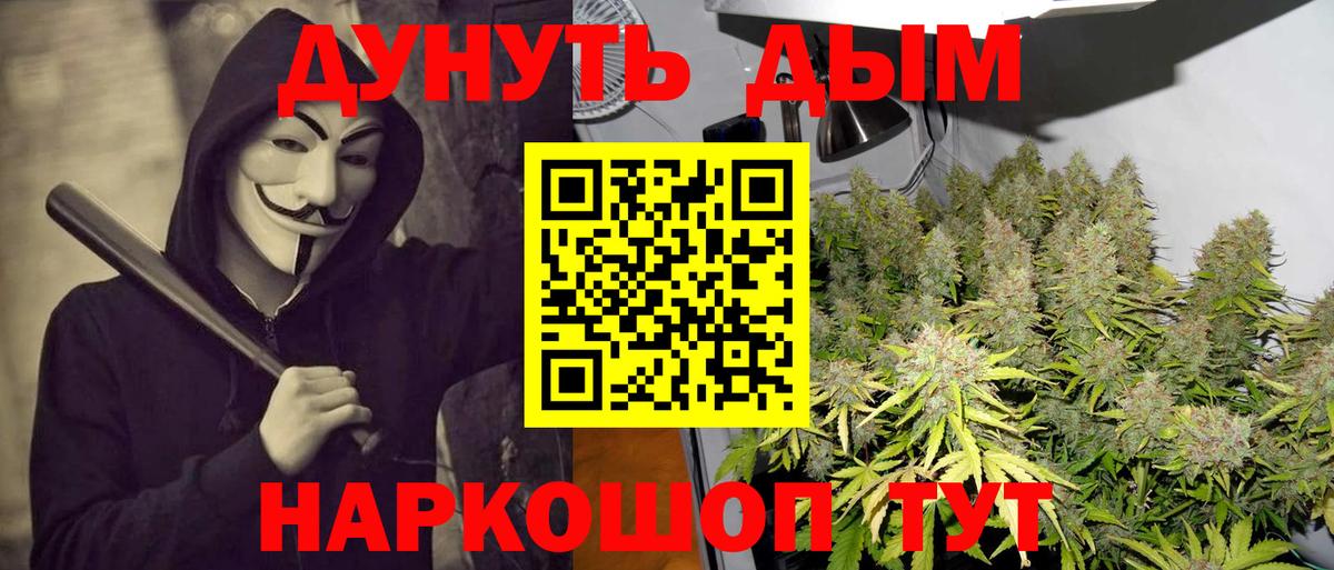 Каннабис MAZAR Кузнецк